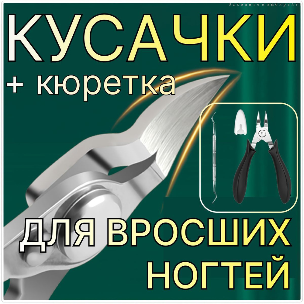 Книпсер #1