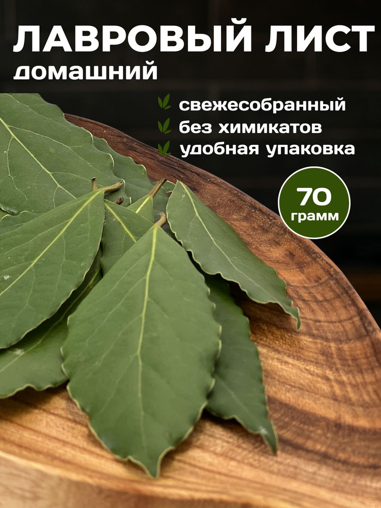 Лавровый лист #1