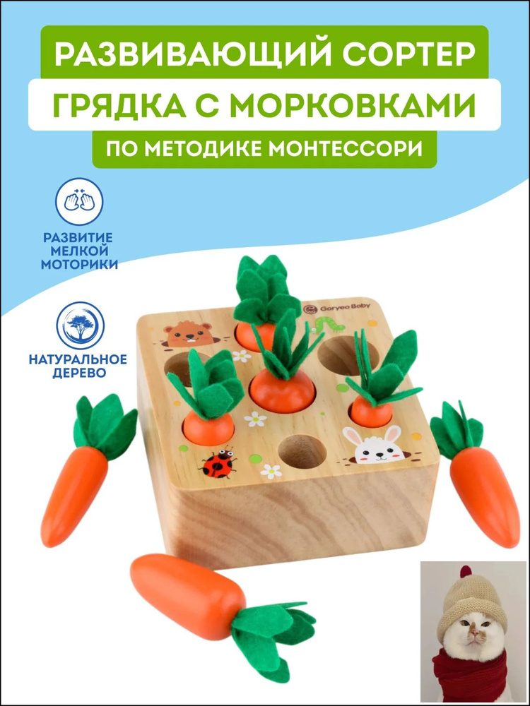 Сортер #1