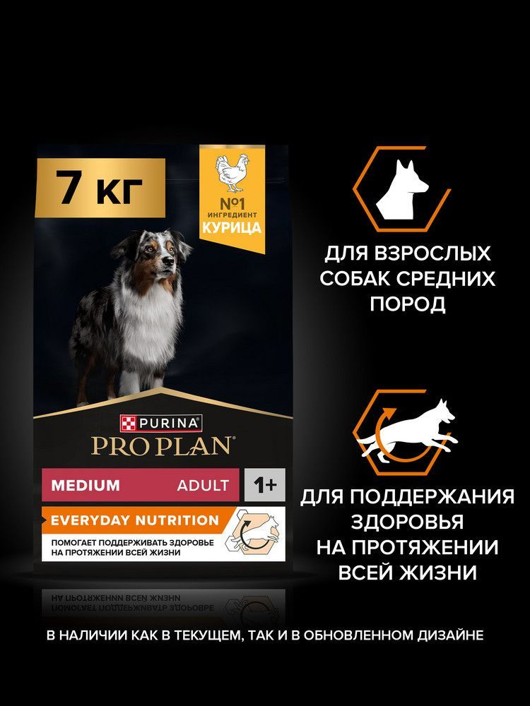 Сухой корм PRO PLAN Everyday Nutrition для взрослых собак средних пород, с курицей, 7 кг #1