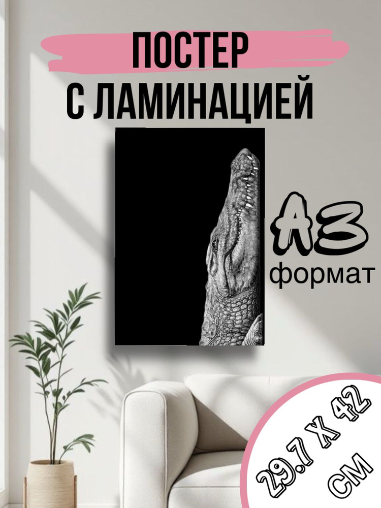 Постер, 42х30 см #1