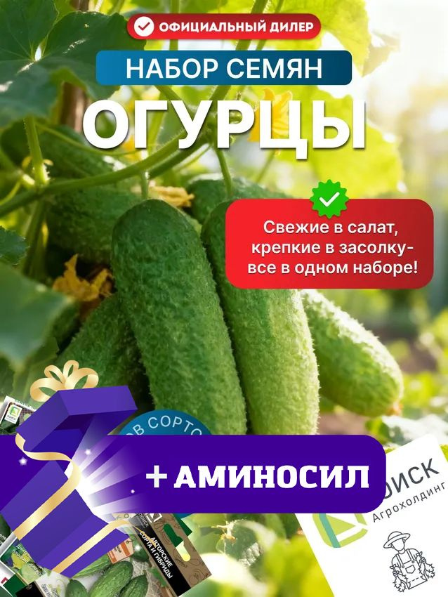 Набор семена огурцов Поиск самоопыляемые 5 упаковок + Аминосил #1
