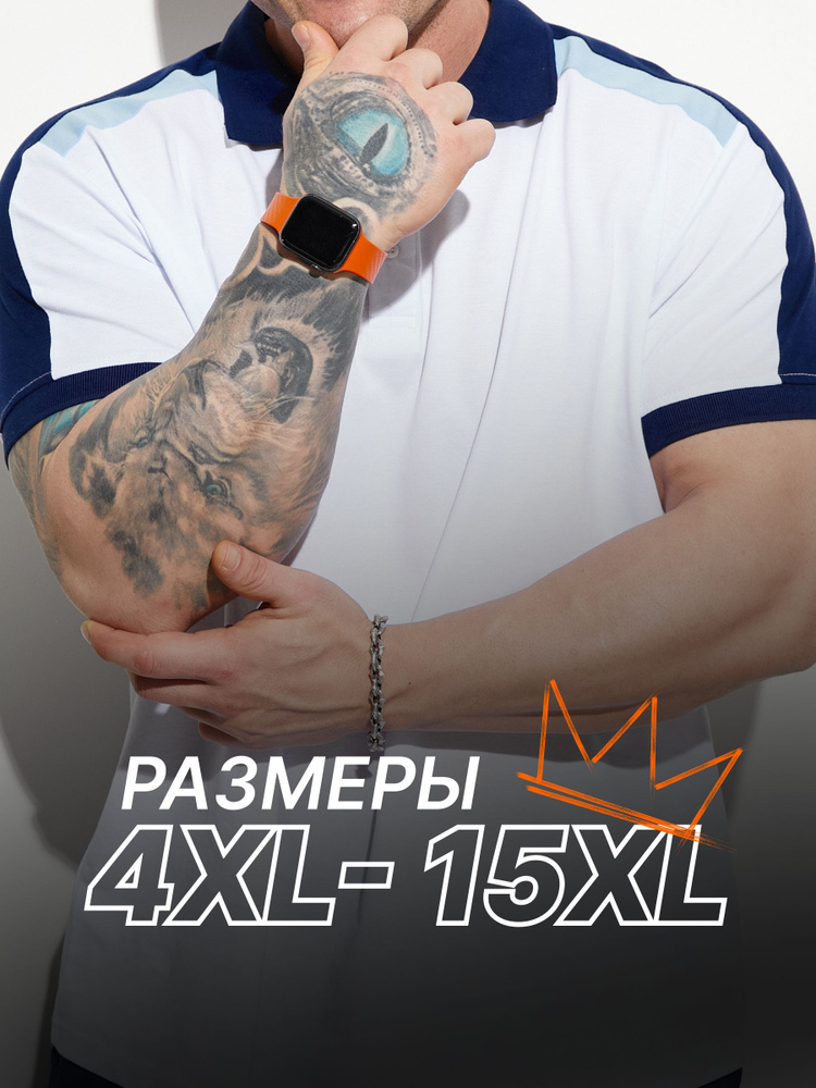 Поло MR. BIGMAN BIG SIZE #1