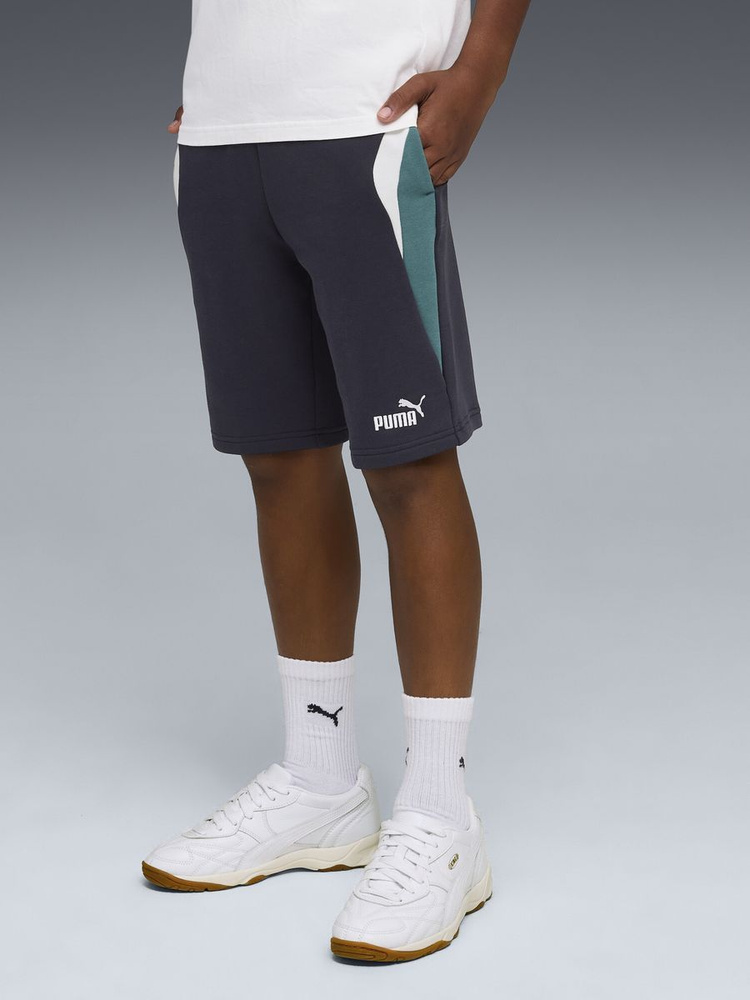 Шорты PUMA ESS BLOCK Shorts TR B #1