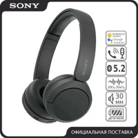 Sony Wh Ch OZON