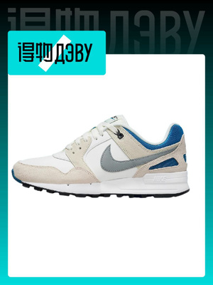 Nike Air Pegasus 89 купить на OZON по низкой цене