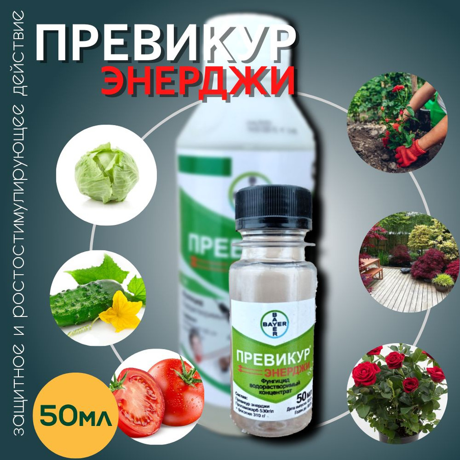 Фунгицид превикур энерджи 10 мл отзывы. Фунгицид превикур энерджи 10 мл отзывы