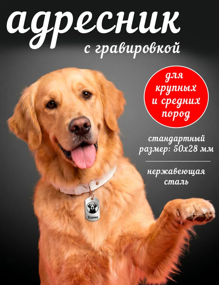 Адресник-жетон с гравировкой для крупных и средних собак на ошейник (50*28мм), 50x28 мм