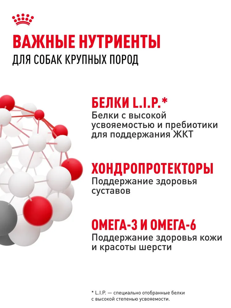 Сухой корм для собак Royal Canin Maxi Adult для крупных пород, 15 кг, 15 кг, фото 5