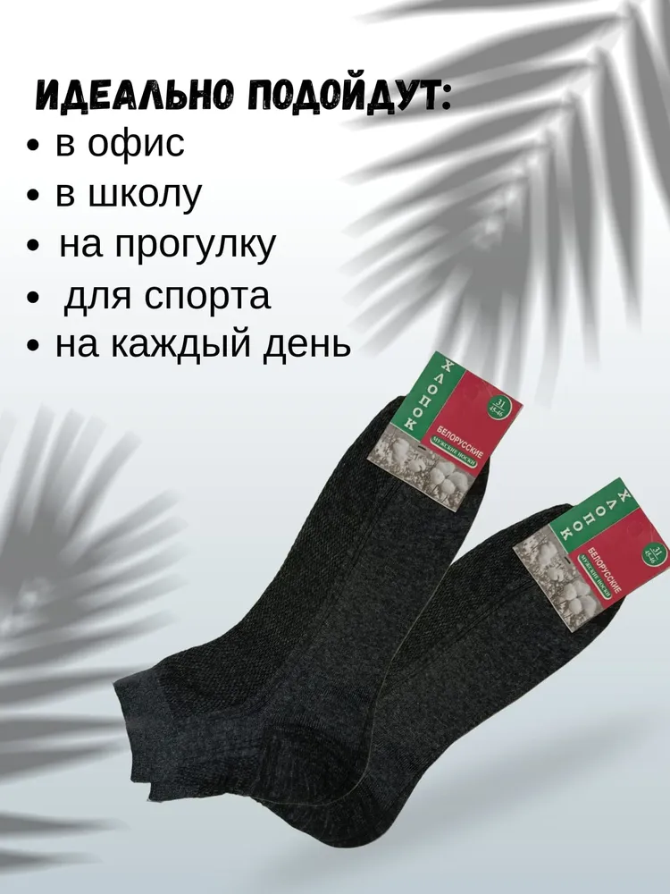 Носки мужские Белорусские, 10 пар