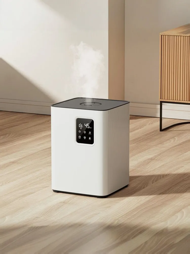 Xiaomi Deerma DEM-F951W