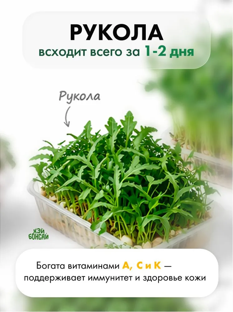 Набор для выращивания микрозелени, вариант, фото 5