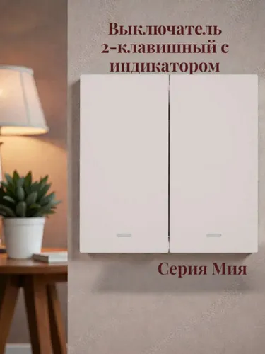 Выключатель 2-клавишный c индикатором. Мия 50476