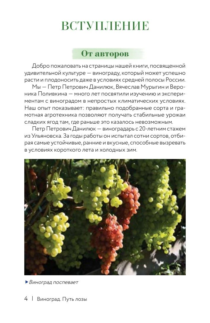 Виноград. Путь лозы. Шпаргалка-трекер: от черенка до грозди | Grapevines. The Path of the Vine. A Handbook-Tracker - Ozon image 3