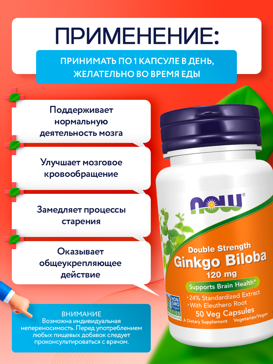 Now, Ginkgo Biloba 120 mg 50 капсул