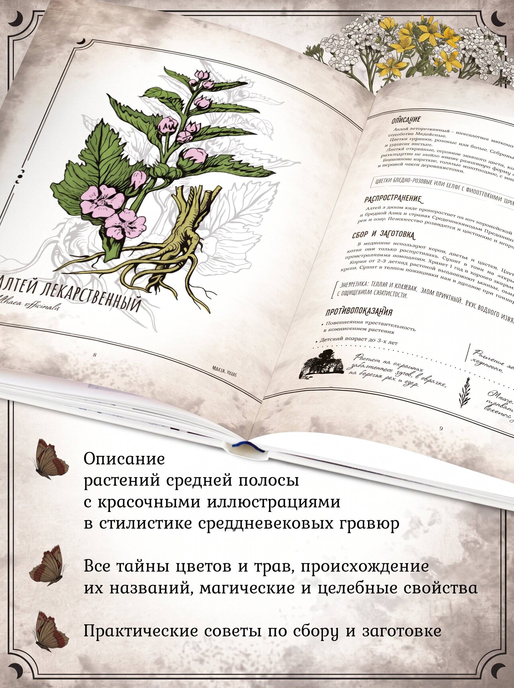 Тайны и магия растений. Путеводитель по миру трав и деревьев | Secrets and Magic of Plants. A Guide to the World of Herbs and Trees - Ozon image 1