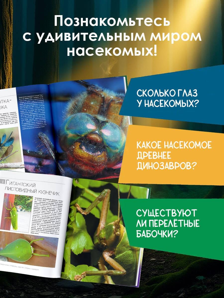 Большая книга о насекомых. 1001 фотография | The Big Book of Insects: 1001 Photographs - Ozon image 1