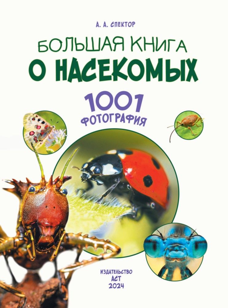 Большая книга о насекомых. 1001 фотография | The Big Book of Insects: 1001 Photographs - Ozon image 5