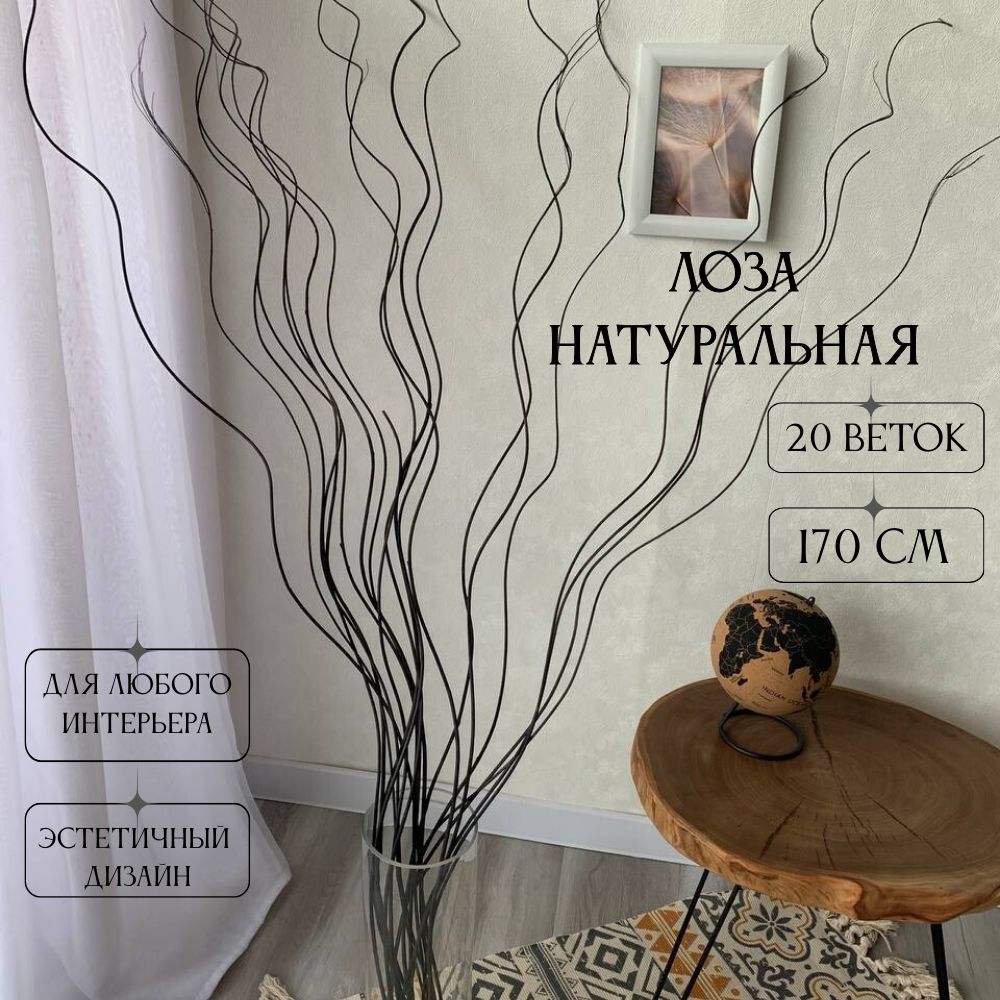 СухоцветдлядекораветкиЛОЗАнатуральнаяветки20штук170см