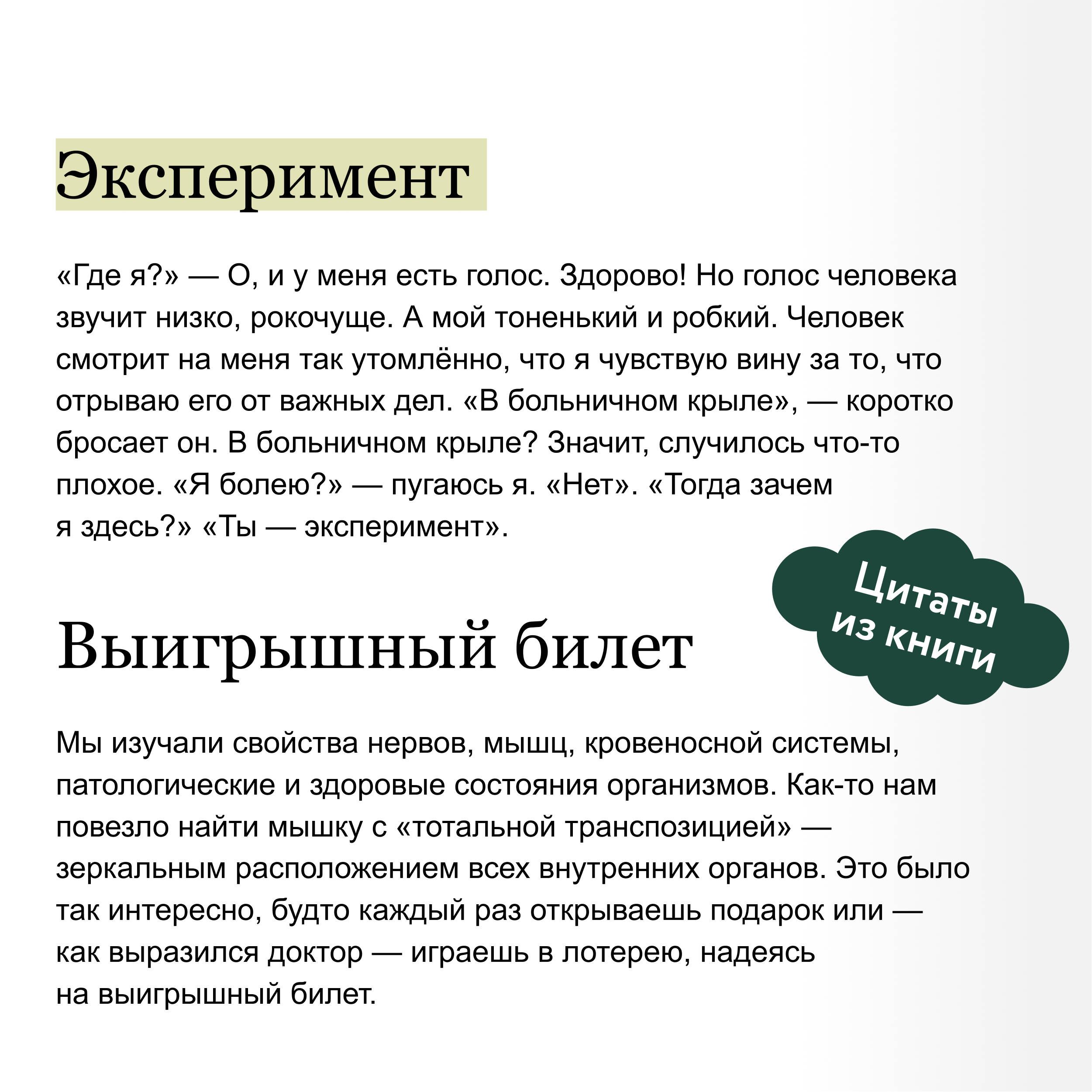 Счастливого дня пробуждения | Happy Awakening Day - Ozon image 3