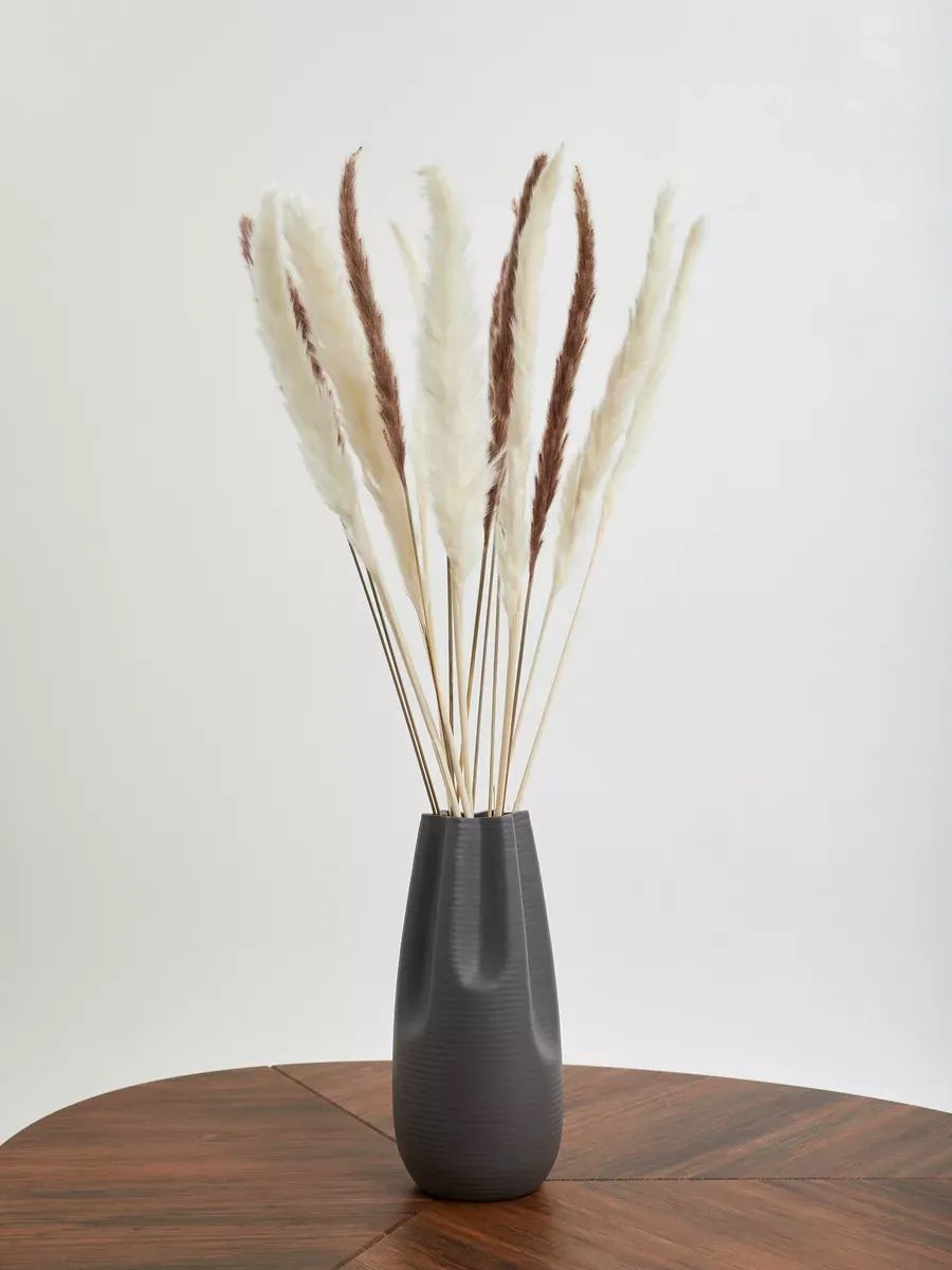 Кортадерия 15 стебли 50-70cm 8 Коричневый+7 белый арт.SJ-6