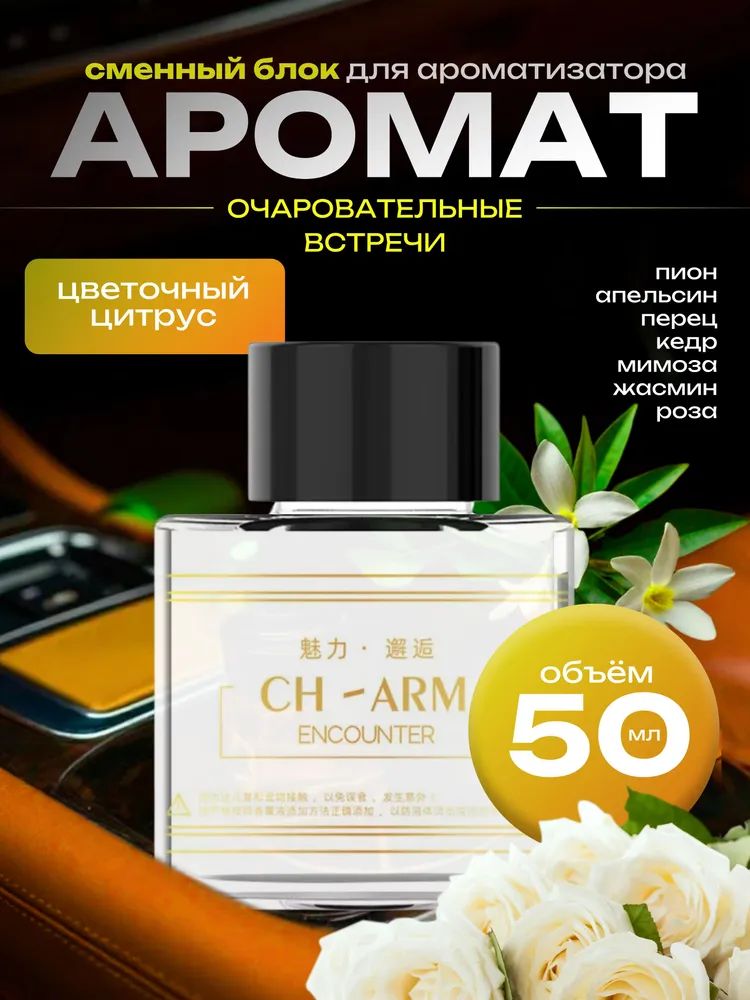 Car fragrance 汽车芳香剂, 果味, 50 毫升