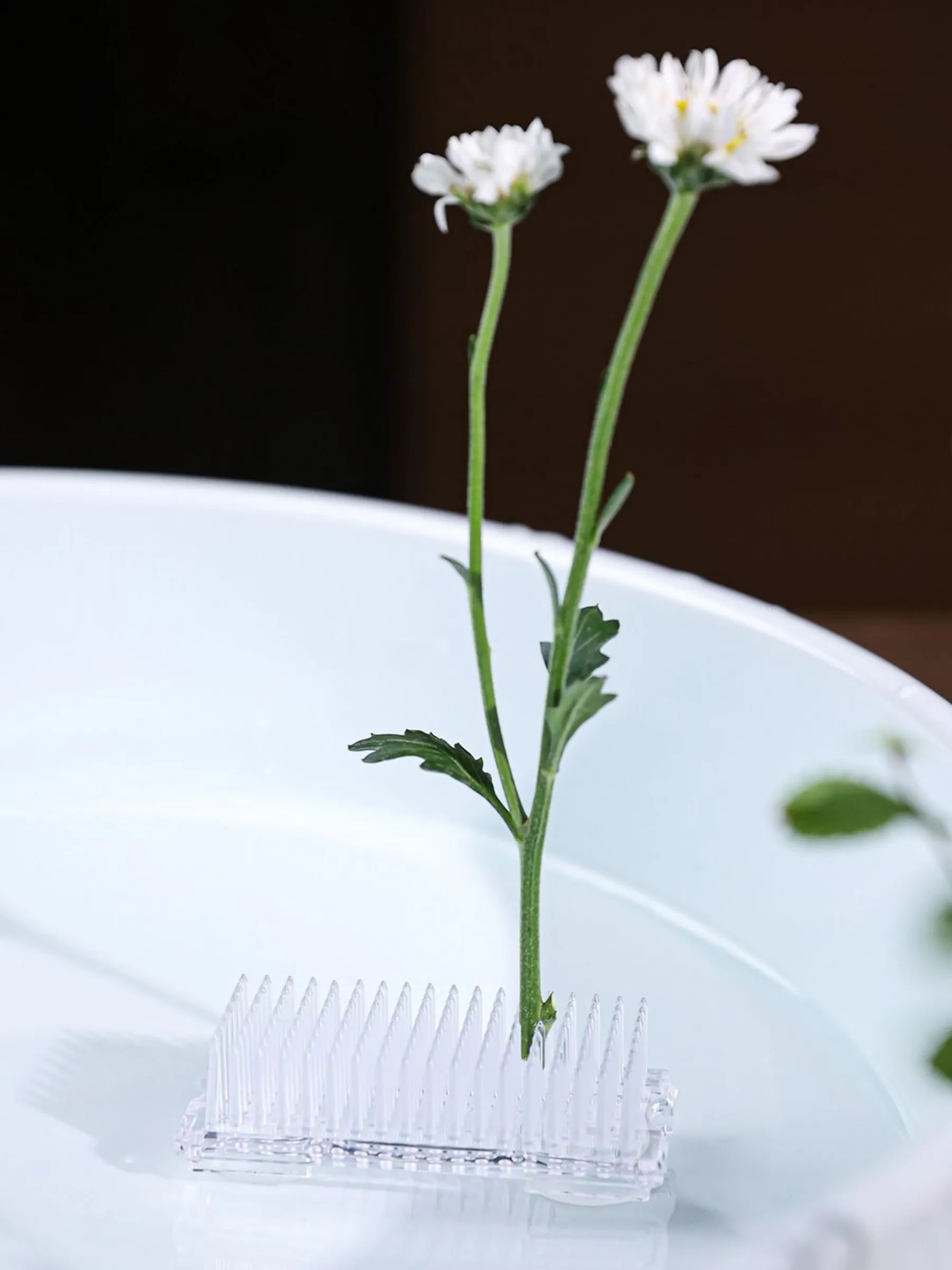 Кензан в упаковке 10 штук Прозрачный 7*3cm P.JS07 Китай