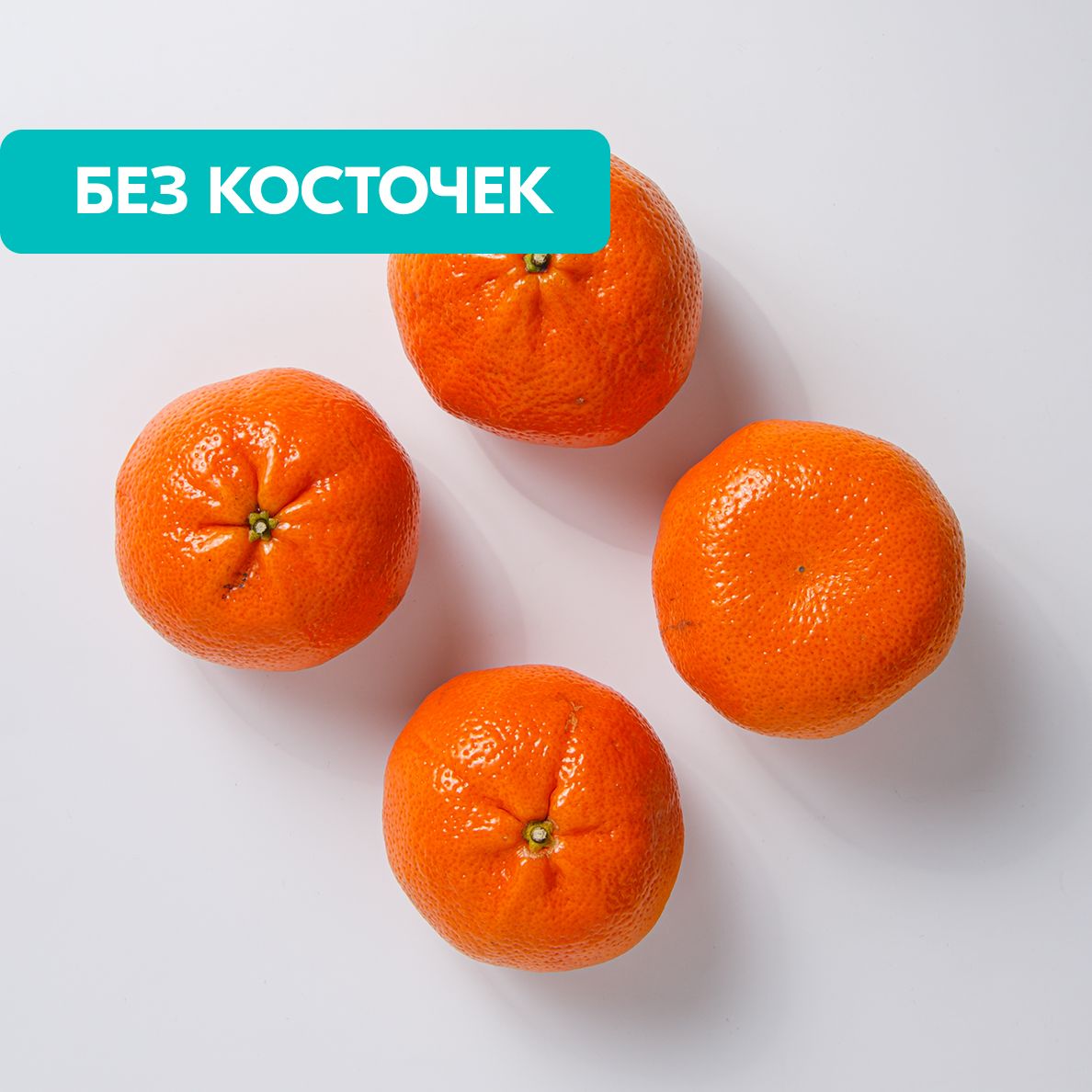 Katta plandagi videoda mushuklarni korsatish Erkak barmoqlari vaginada