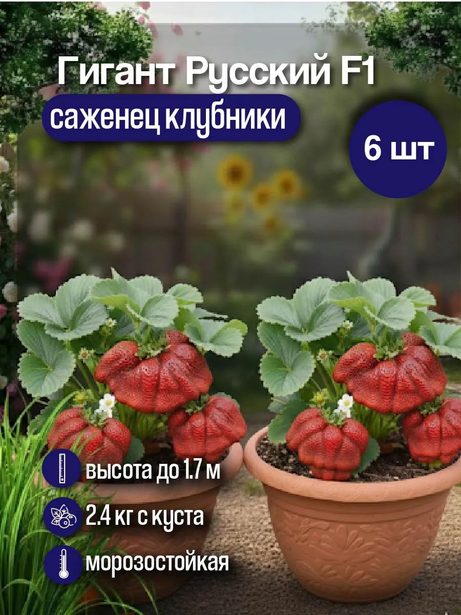 СаженцыклубникирассадаГигантРусскийF16шт