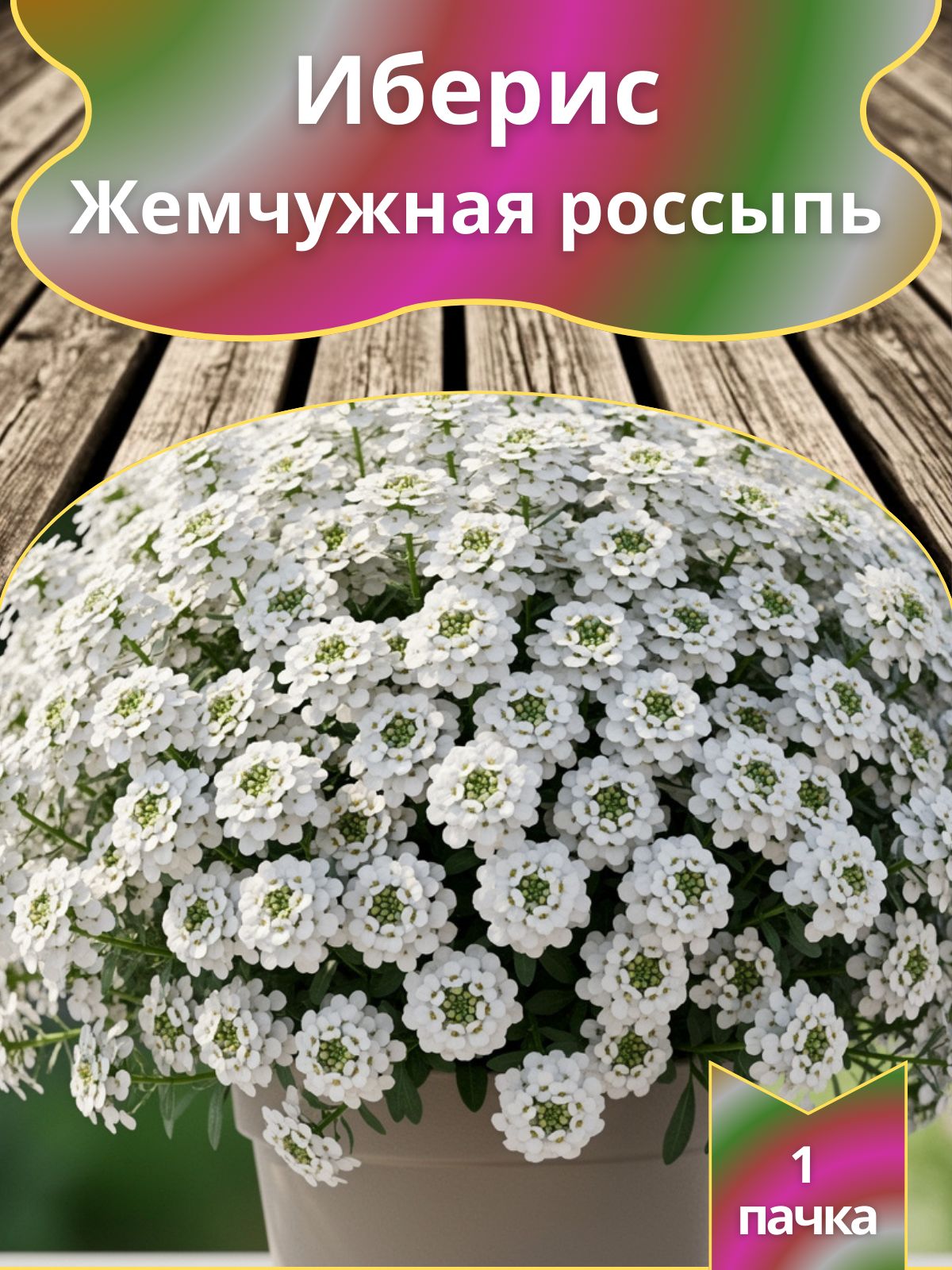 ИберисЖемчужнаяроссыпь,семена10шт.