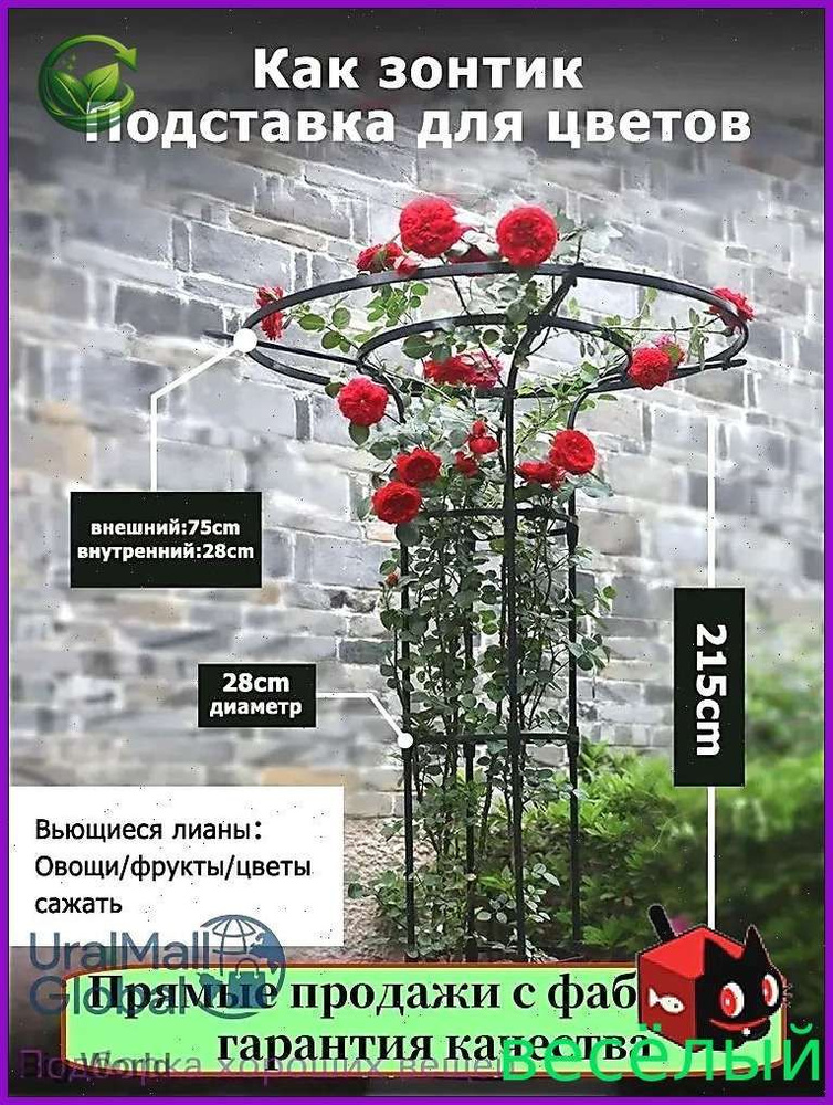 75 1 OZON 4532538500 75-1-ozon-4532538500