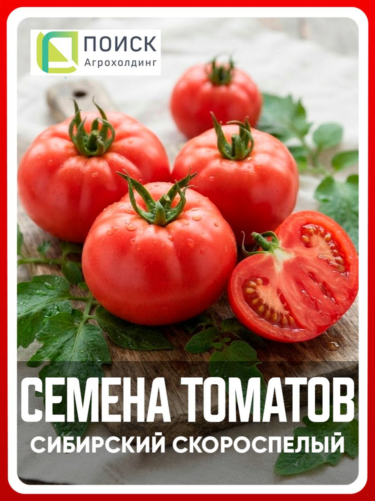 Семена томатов "Сибирский скороспелый" 0,1 гр, для дома, дачи и огорода, в открытый грунт, в контейнер, #1