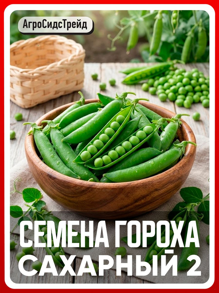 Семена овощей Горох ранний "Сахарный 2" для сада , огорода , дачи , дома/ В грунт, грядку #1