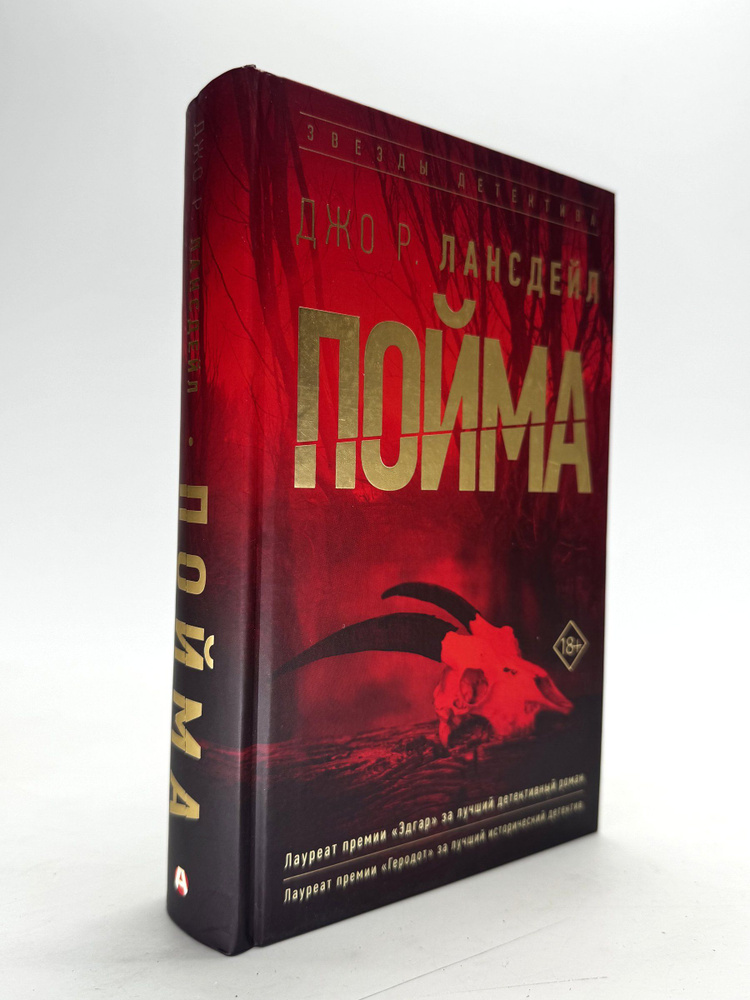 Пойма #1