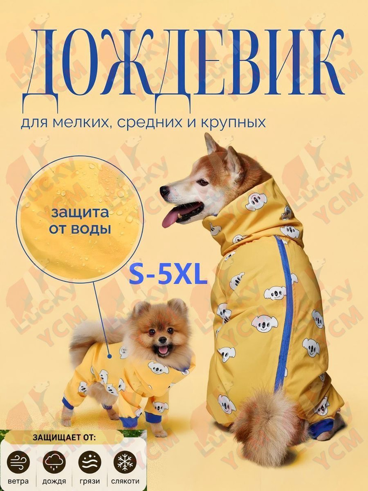 Одежда для животных #1
