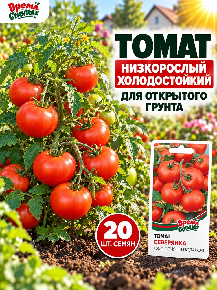 Семена томата Северянка, ранние низкорослые холодостойкие помидоры для открытого грунта и парников, детерминантный #1