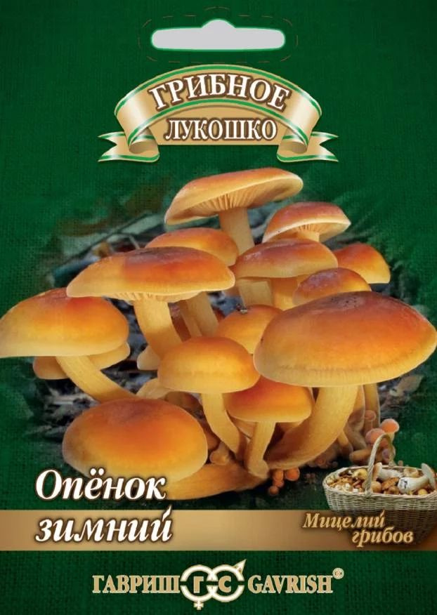 Гавриш Семена #1