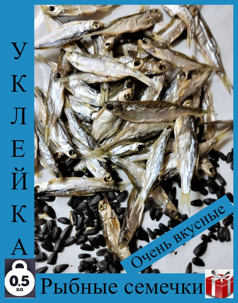 Уклейка вяленая, сушеная 0,5 кг/Рыба сушеная #1