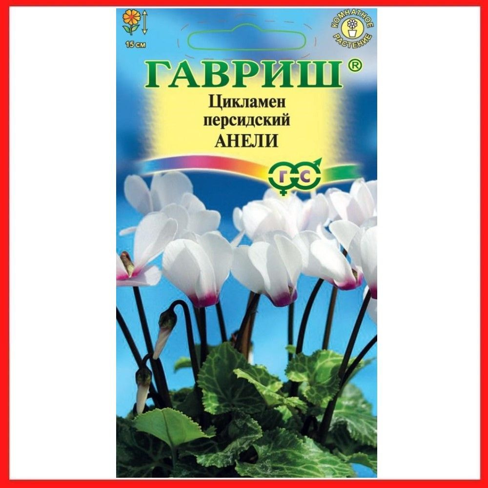 Семена Цикламен персидский "Анели", 3 шт, многолетние цветы, комнатные растения, для дома, на подоконник, #1