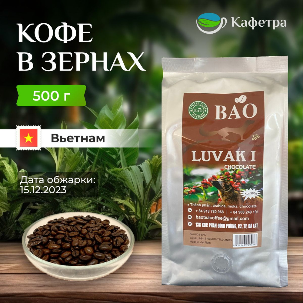 Вьетнамский кофе в зернах Шоколадный Лювак Ай (Chocolate Luvak I) - BAO ...