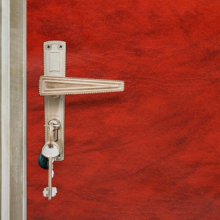Комплект для обивки дверей 110 x 205 см: иск.кожа, поролон 5 мм, гвозди, струна, терракот, "Рулон"  #1