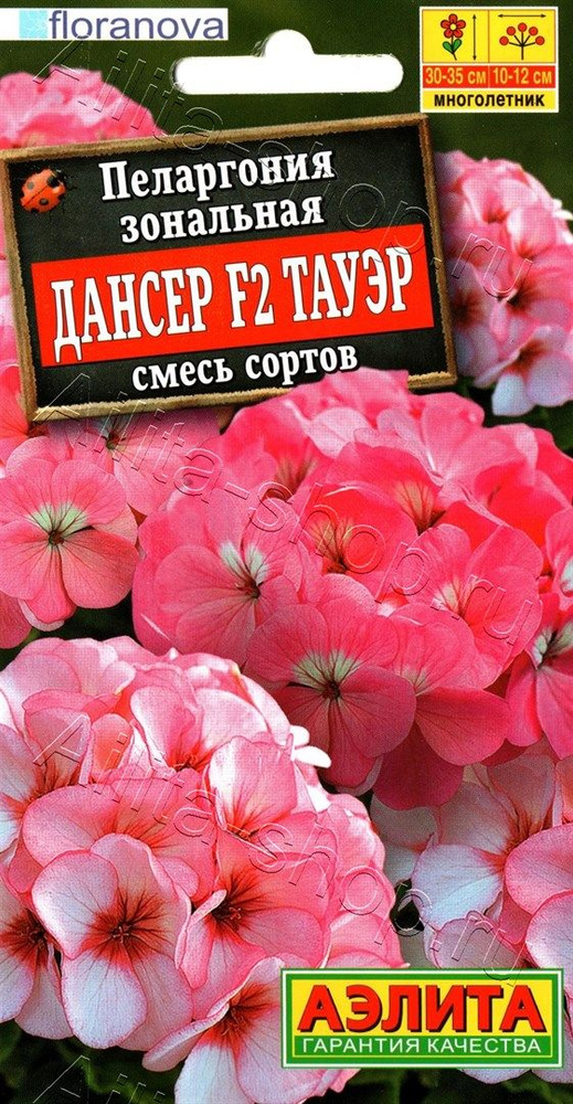 Пеларгония зональная "дансер F2 тауэр"смесь 5шт семян*2уп.  #1