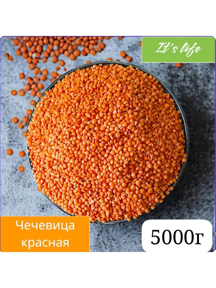 Чечевица красная 5000г #1