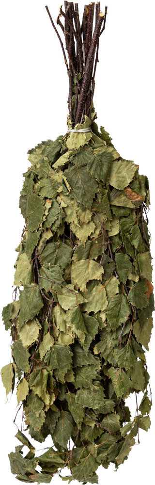 Веник банный 365 ДНЕЙ берёзовый - Веник для бани, купить в интернет ...