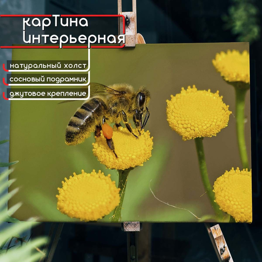 Картина интерьерная на холсте - Пчелка на желтом цветке 22x30 см  #1