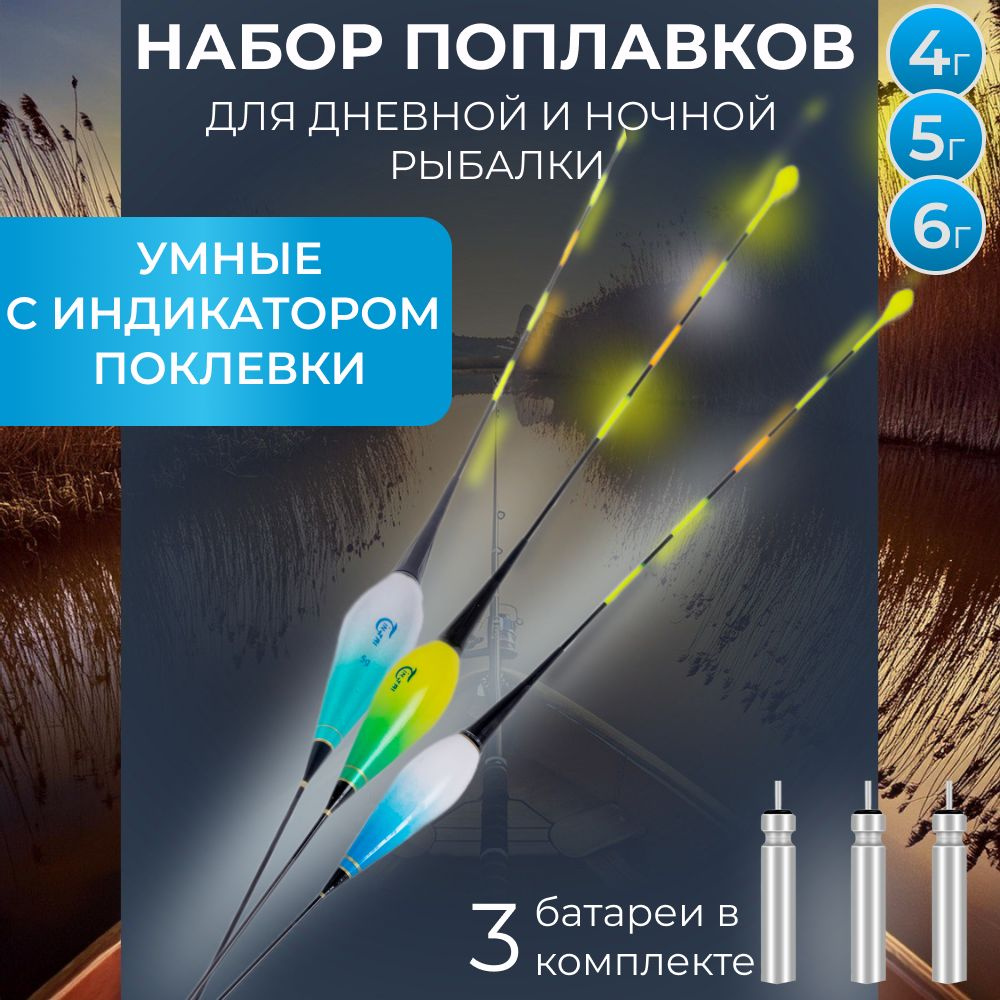 Набор умных поплавков 3 шт., с индикацией поклевки, светящиеся, с  подсветкой для ночной рыбалки 4гр., 5гр., 6гр. - купить с доставкой по  выгодным ценам в интернет-магазине OZON (1565535617)