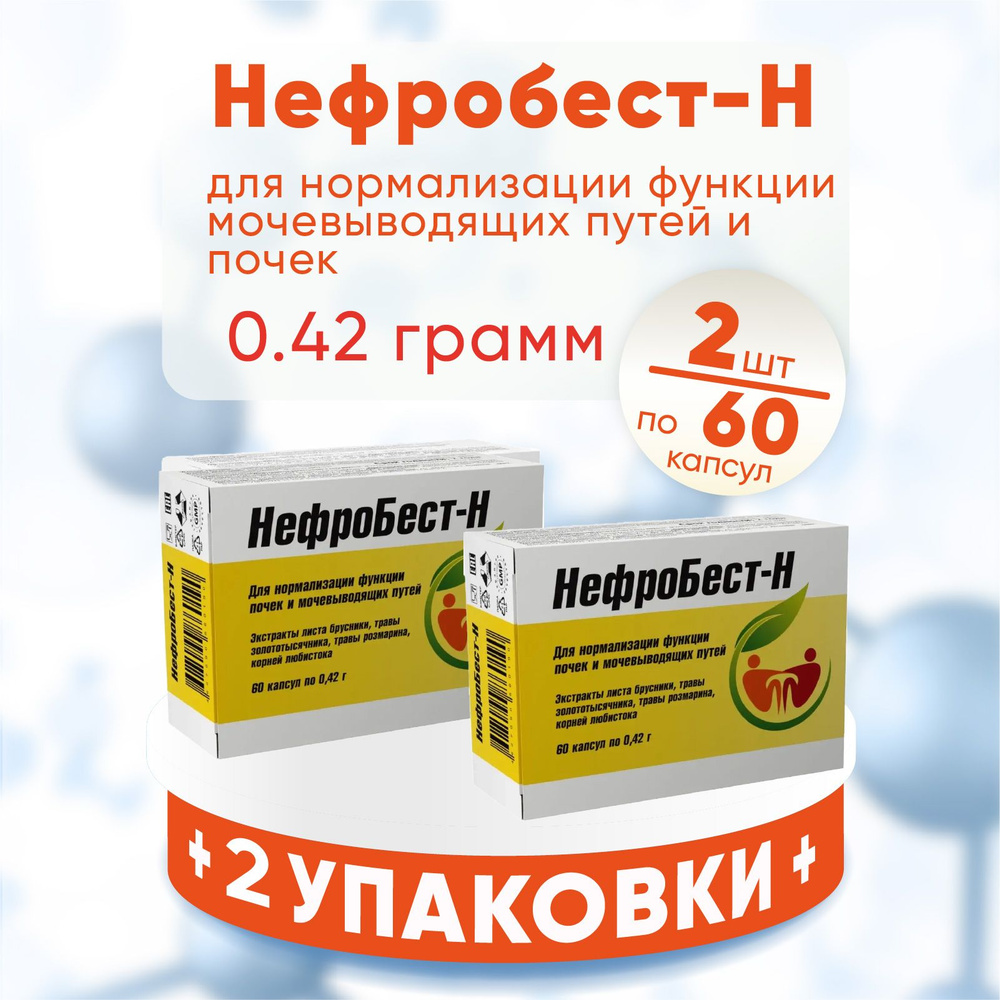 Нефробест-Н капсулы, 2 упаковки по 60 шт 0,42 гр, КОМПЛЕКТ ИЗ 2х упаковок  #1