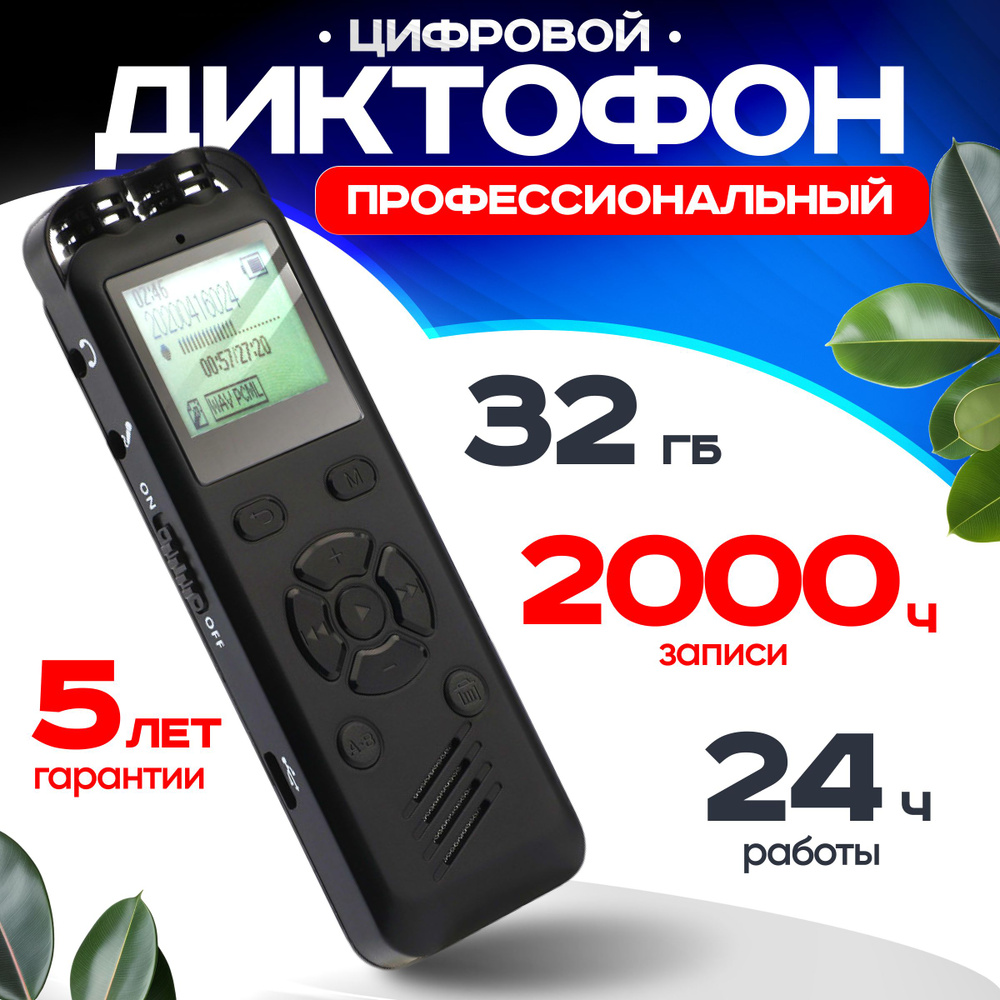 Диктофон zoom, MP3, WAV, 32 ГБ купить по выгодной цене в интернет-магазине  OZON (1564892439)