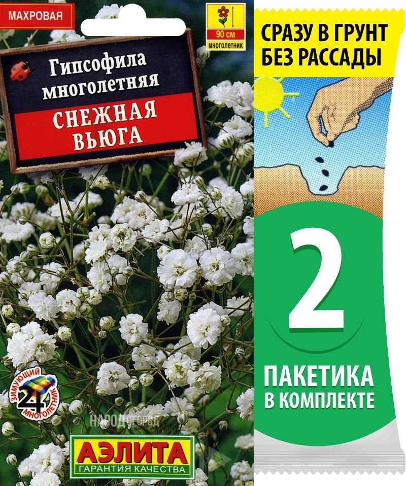 Семена Гипсофила многолетняя махровая Снежная Вьюга, 2 пакетика по 0,05г/75шт  #1