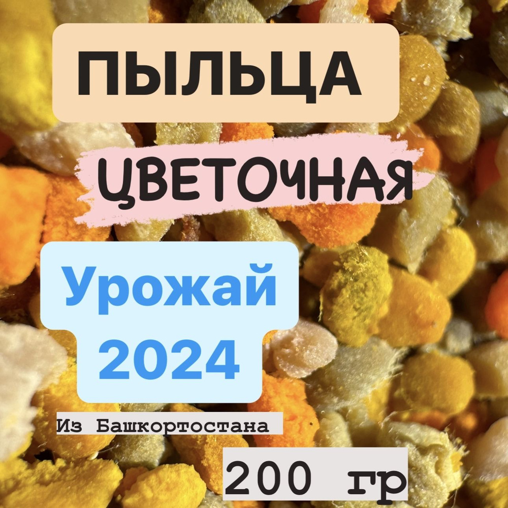 Пыльца цветочная/ пчелиная обножка 200 гр СБОР 2024 ( натуральная пыльца из  Башкортостана) / Сотый улей - купить с доставкой по выгодным ценам в  интернет-магазине OZON (1440750983)